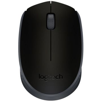 Souris Optique Sans Fil LOGITECH M171 Noir