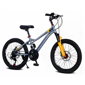 Vélo BELVELO 20"  + 21 Vitesse Shimano Gris