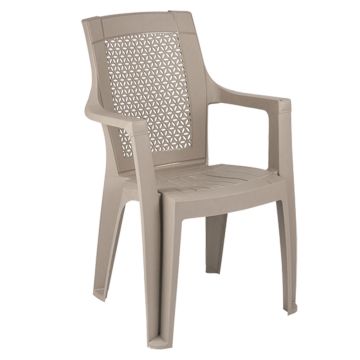 Chaise HOME LINE Avec Accoudoirs Grége
