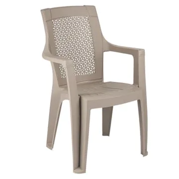 Chaise HOME LINE Avec Accoudoirs Grége