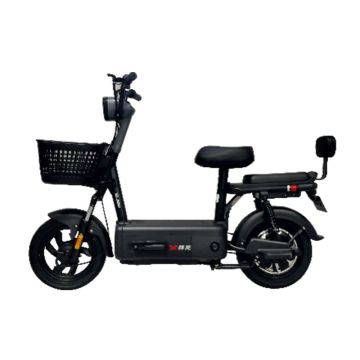 Moto Électrique ZEN 600W 