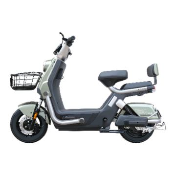 Moto Électrique ALPHA 1000W 