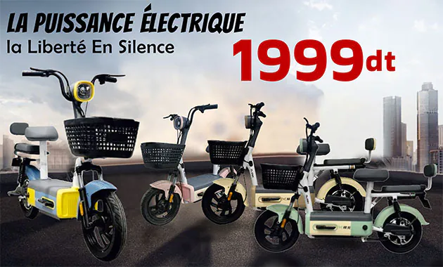 Moto Électrique ZEN